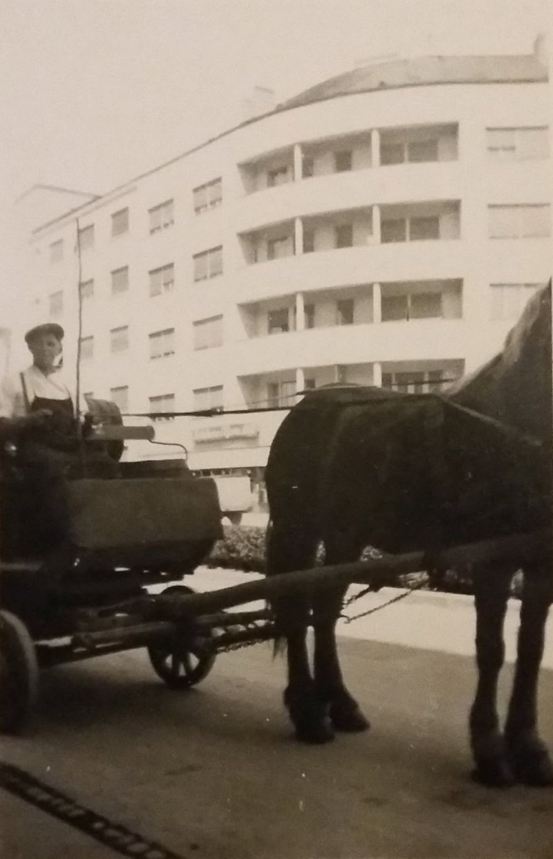 Zvonimirova ulica 1941. godine